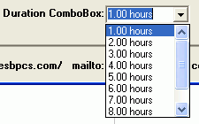 Example of Duration ComboBox