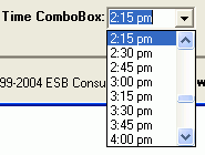 Example of Time ComboBox